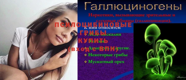 прущие грибы Армянск